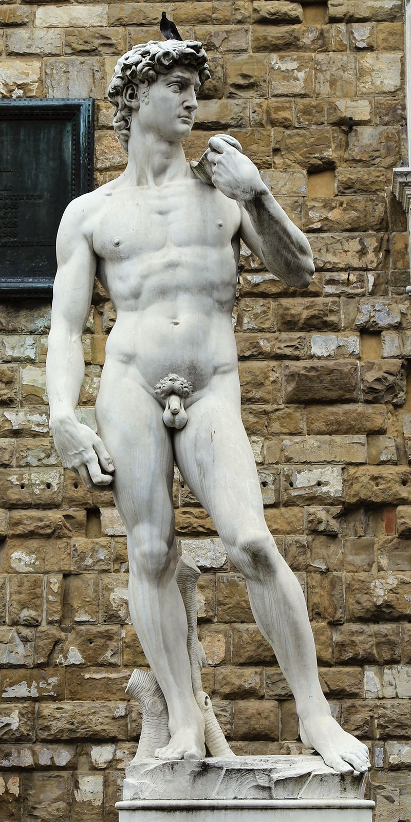 IMG_0945 david outside 3x6 IMG_0945 david outside 3x6