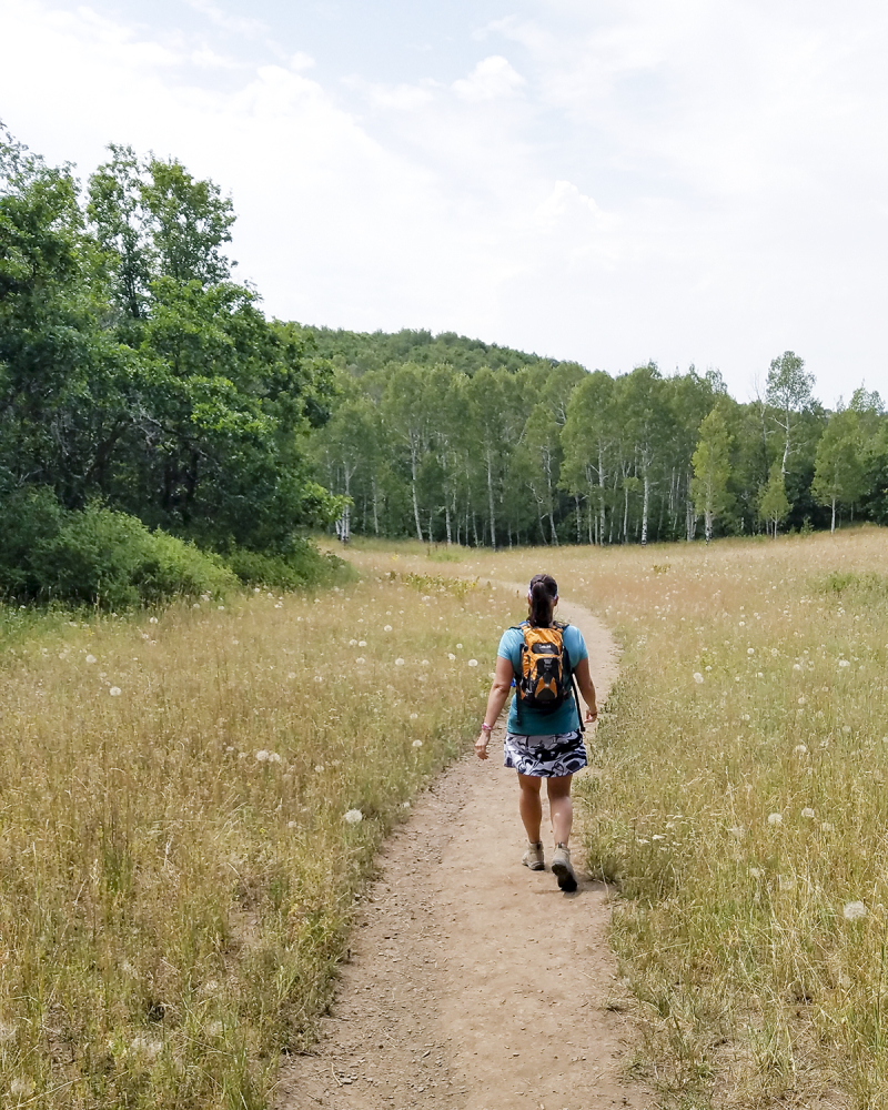 Squawk peak trail my favorite meadow Squawk peak trail my favorite meadow