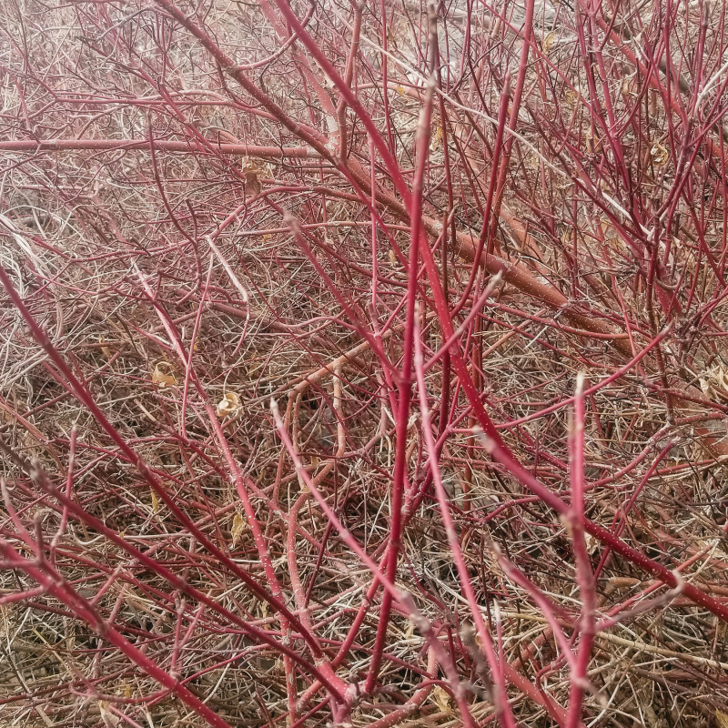 Feb 18 on 18 no3 Feb 18 on 18 no3